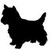 :iconbonjour-burrito: