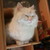 :iconbonnie611: