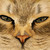 :iconbonny-lass: