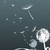 :iconbonnyfish:
