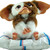 :iconbono01: