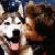 :iconbonz-was-here: