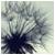 boo--xo :iconboo--xo: