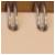 :iconboo-gross: