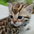 :iconboocharm: