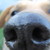 :iconbooders: