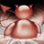 :iconboog2dan: