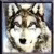 :iconbook-worm-babs:
