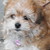 :iconbookbabe15: