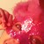 :iconbookeditions-floor: