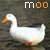 :iconbookerboots: