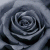 :iconbookgirl05: