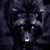 :iconbookiebrooke: