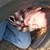 :iconbookitty79: