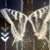 :iconbookjvworm: