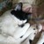 :iconbookkindofgirl16: