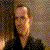 :iconbookman230: