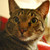 :iconbookmoya: