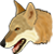 :iconbookwolf95: