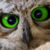 :iconbookworm737: