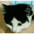 :iconbookwyrm1317:
