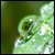 :iconboolean121: