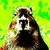 :iconbooley-stanton: