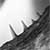 :iconboombona: