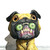:iconboons87: