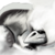 :iconboosterzx-23: