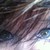 :iconbootography: