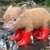 :iconboots61: