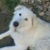:iconbootsmadeforwalking: