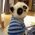 :iconbophomet: