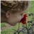 :iconbordenau: