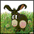 :iconbored-no-more: