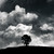 :iconboredomavenger: