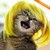 :iconboredomblogger: