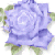 :iconborgia1500: