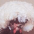 :iconborisfitzsimmons: