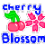:iconborn-2-draw: