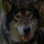 :iconborn-tobe-wild: