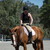 :iconborn2gallop:
