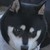 :iconbornforwar: