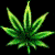 :iconborngeek: