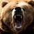 :iconbornofbears: