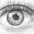 :iconborntob: