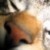 :iconborntoride: