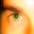 :iconboroni: