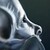 borosaur :iconborosaur: